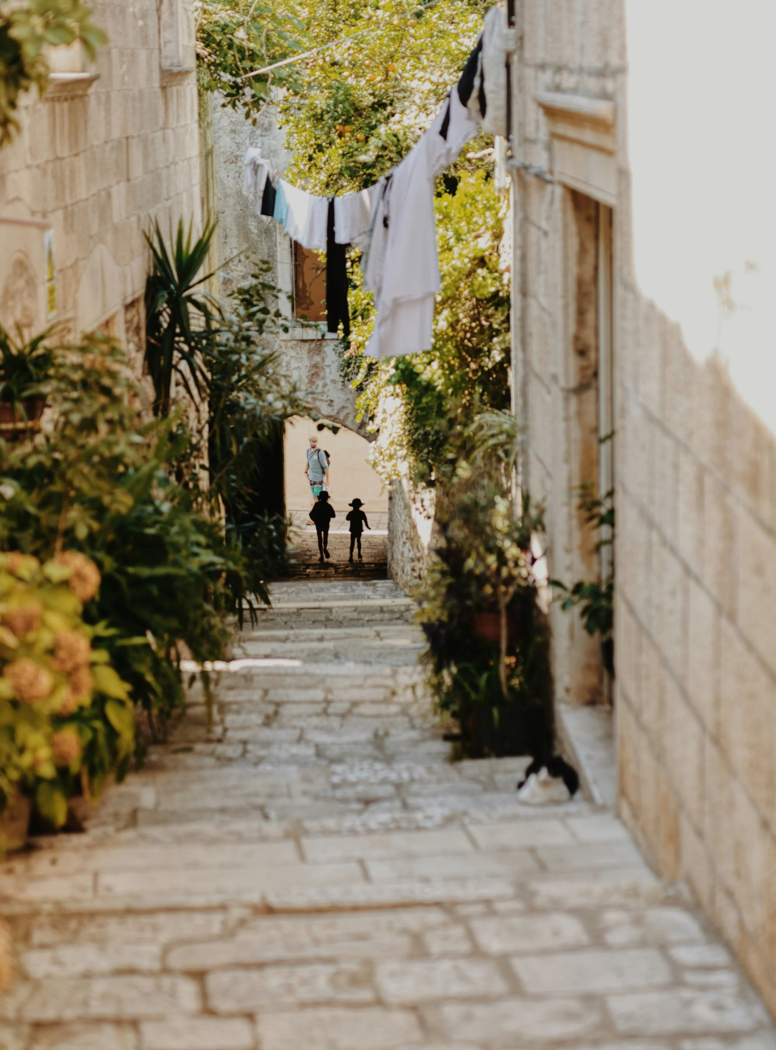 Korčula Island