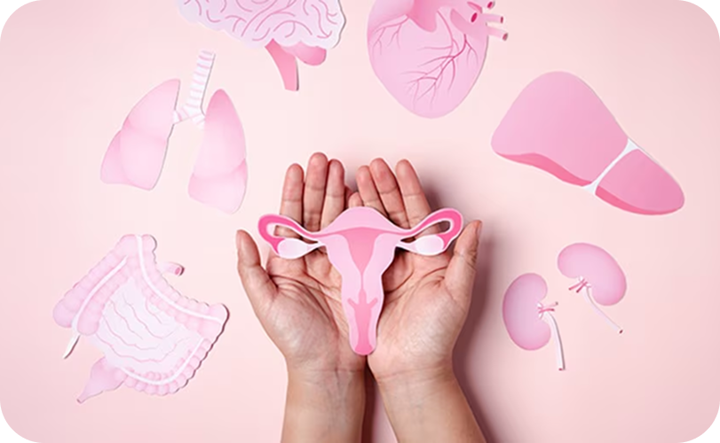 Medical Illustration