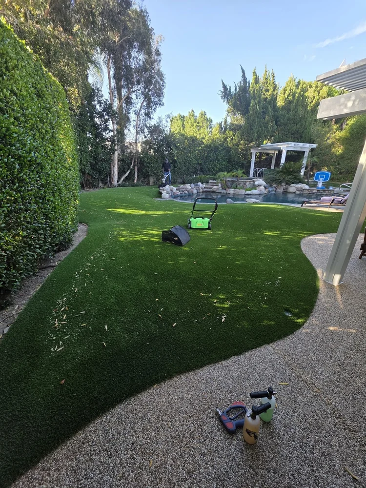 Backyard turf beside a pool before cleaning