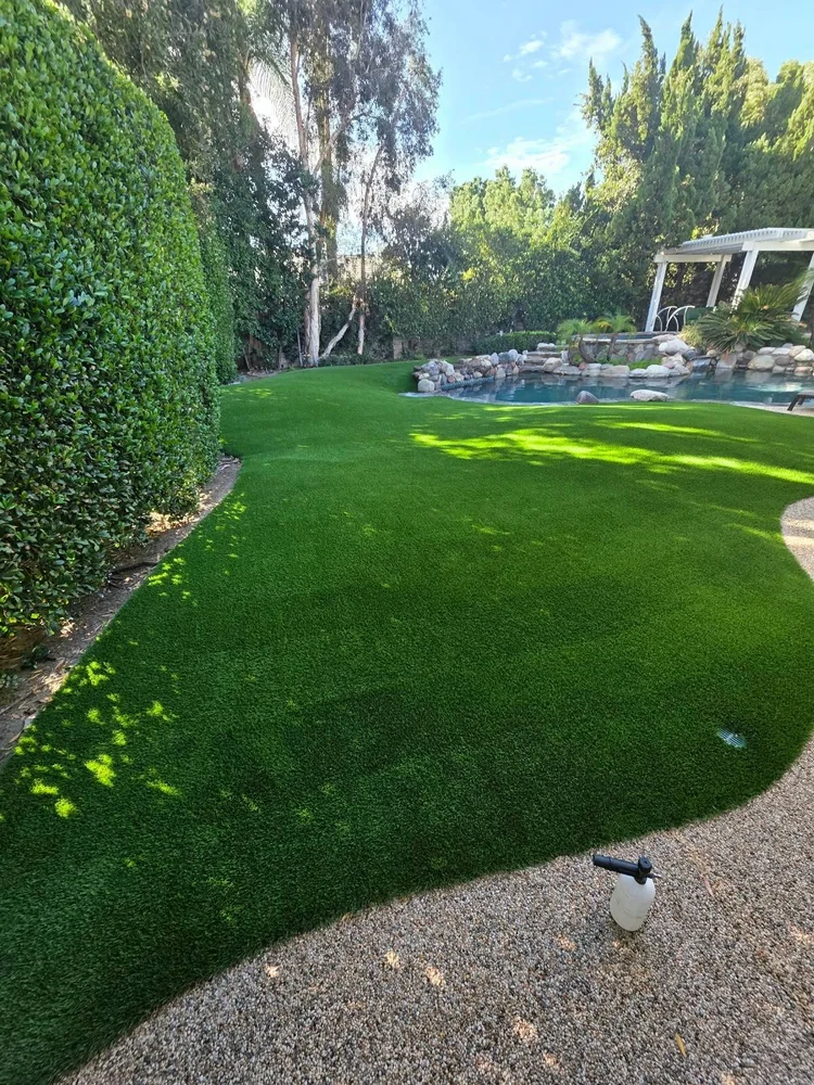 Backyard turf beside a pool after a Hydroforce clean
