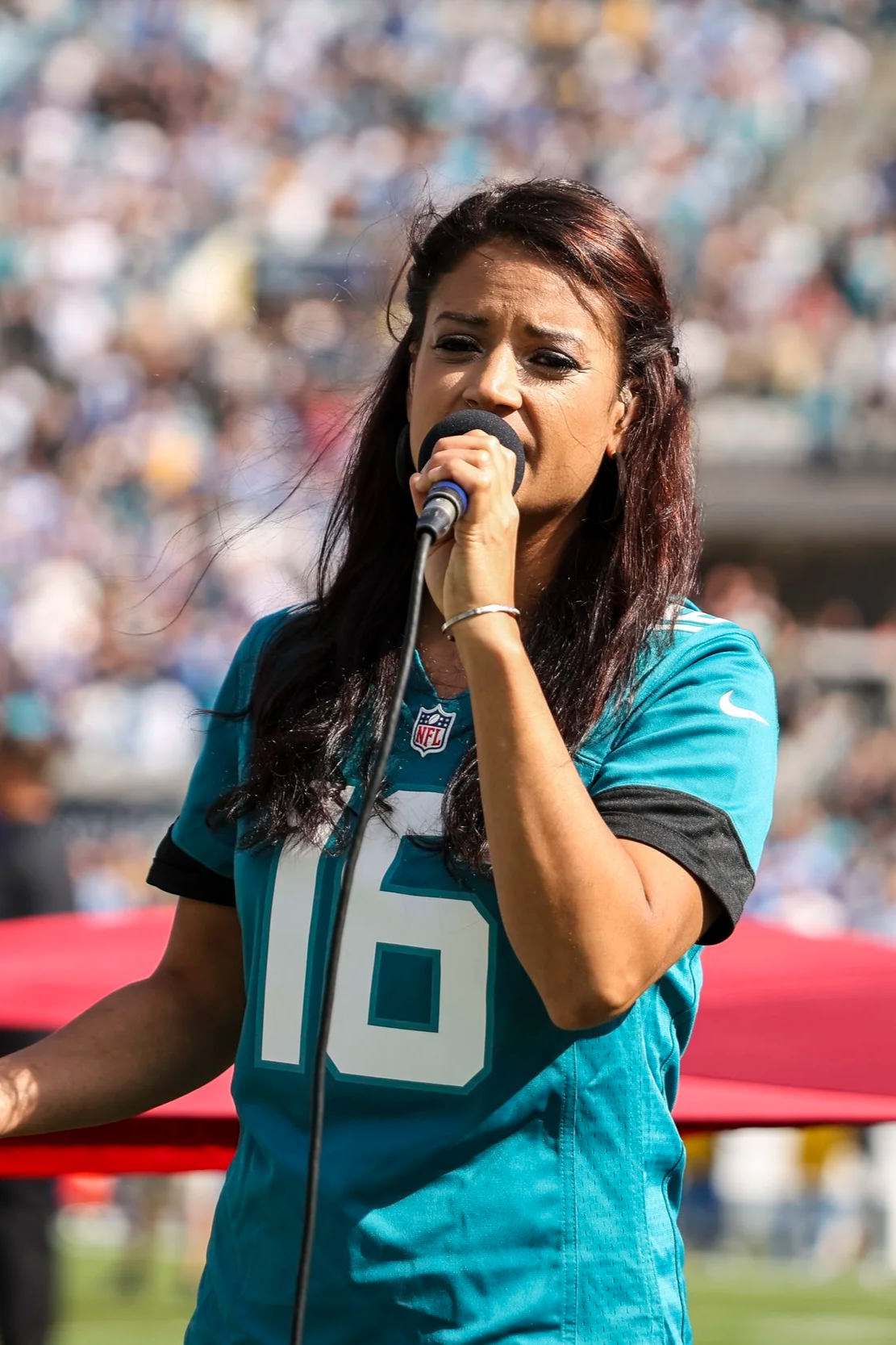 NFL National Anthem