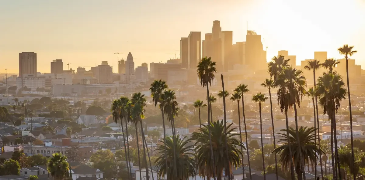 Downtown Los Angeles skyline and palm trees in warm evening light