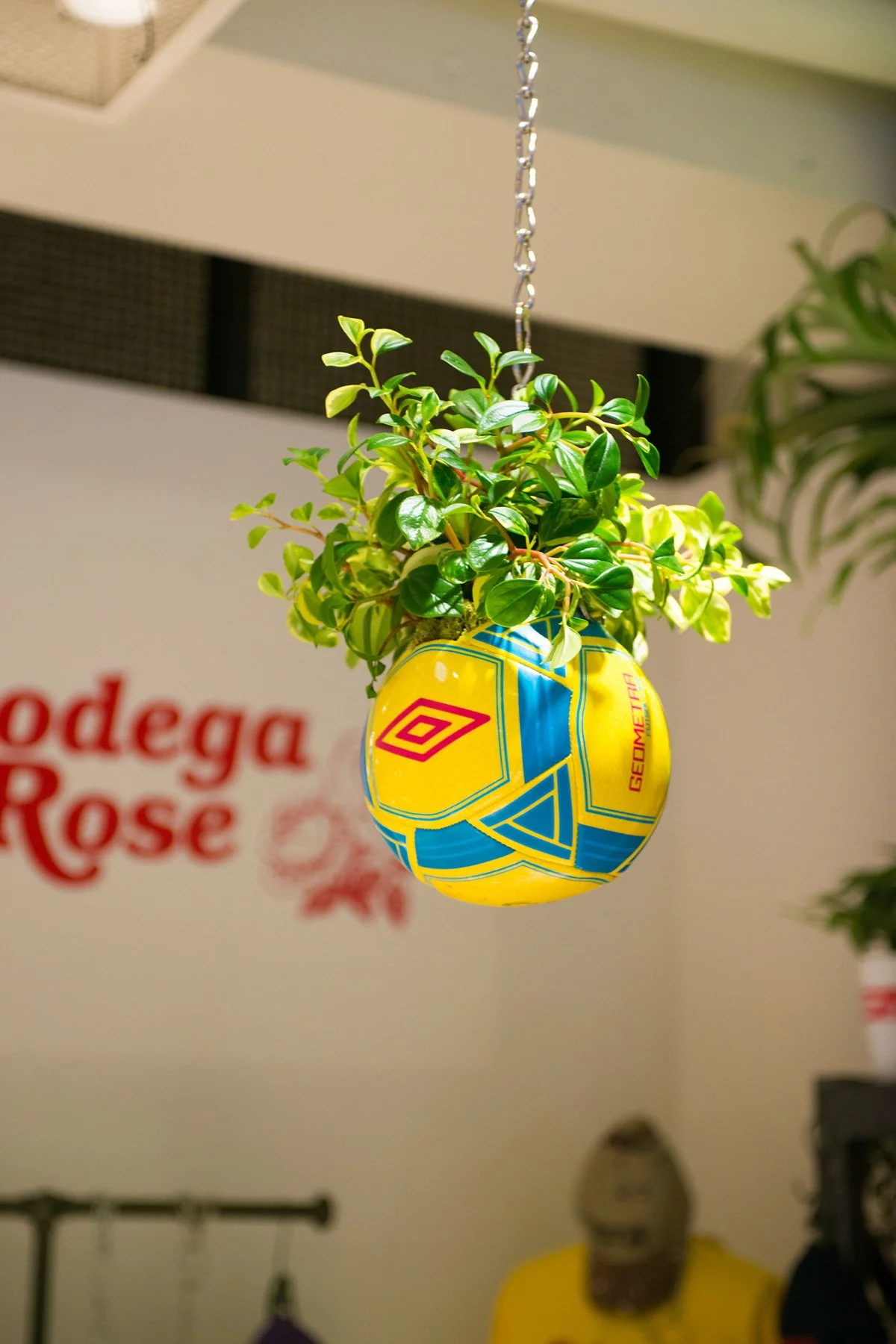 Soccer Planter Japan — Umbro