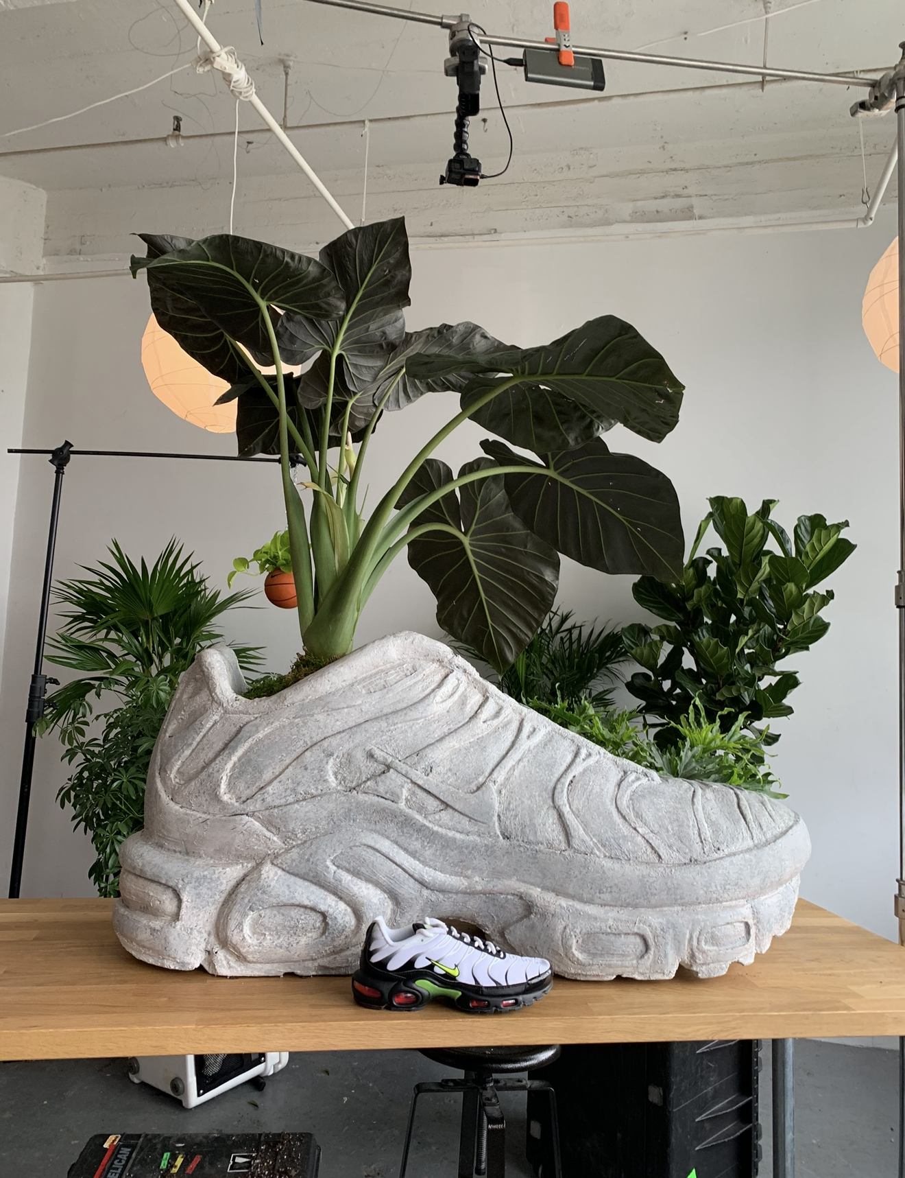 Air Max TN — Champs