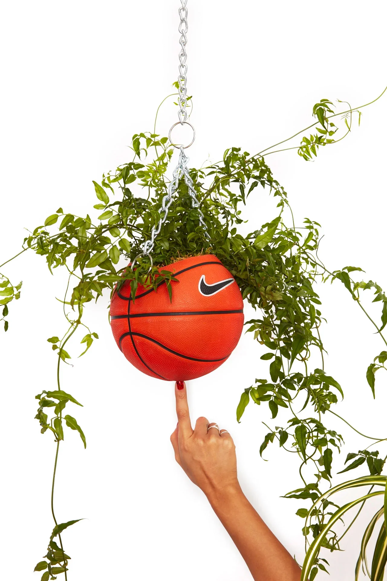 Sculptural basketball planter by Bodega Rose
