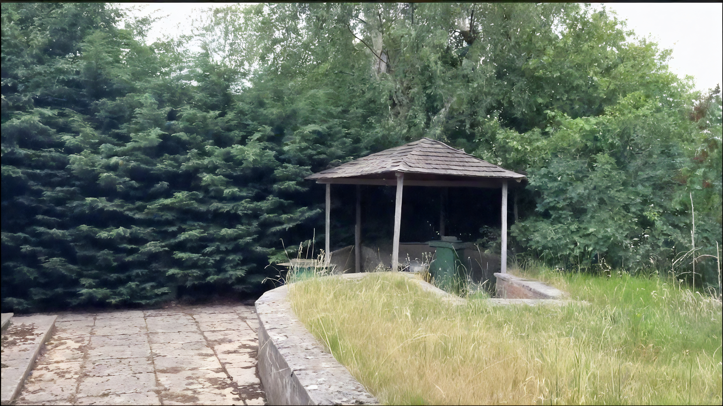 Backyard before landscaping