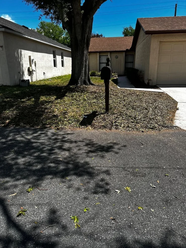 Yard cleared after branch removal