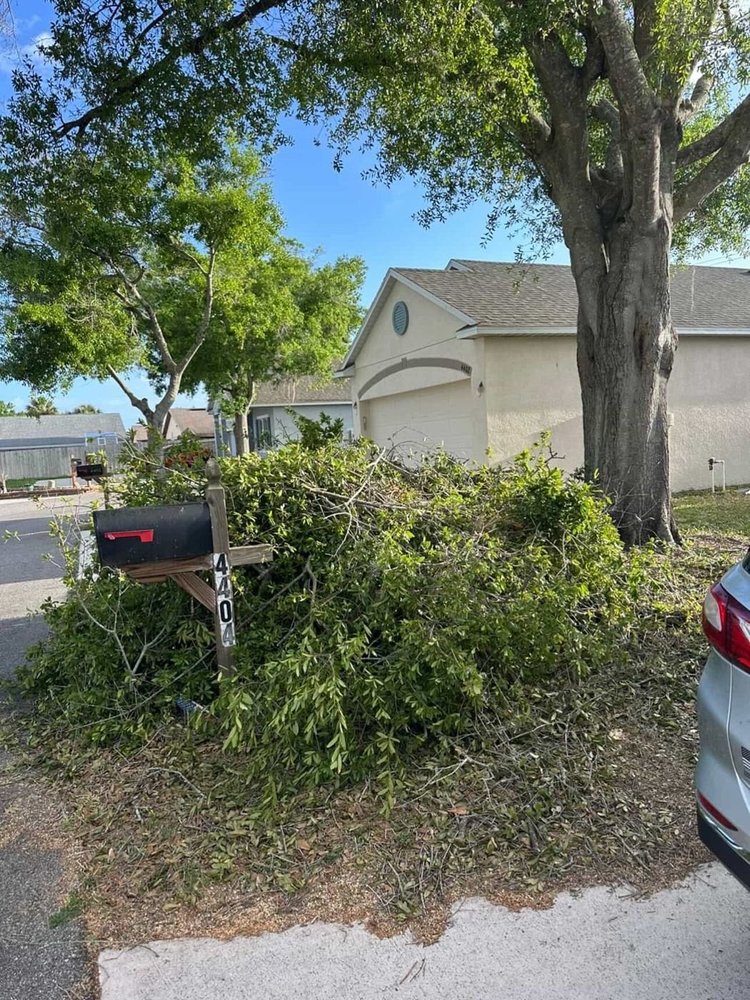 Yard branches piled by a mailbox