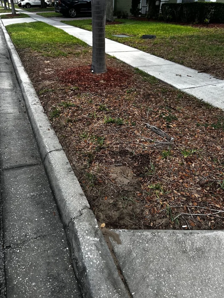 Curb cleared after pickup