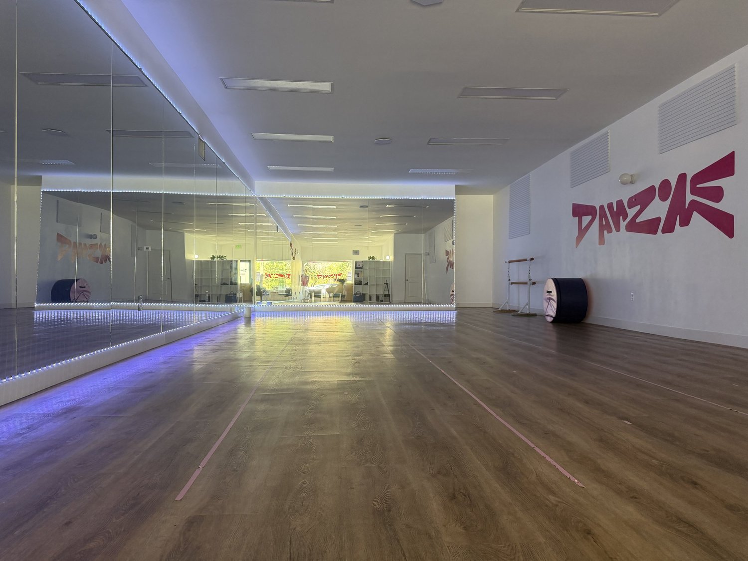 The Danzone Studios dance room in Pico-Robertson, with mirrors and the pink DANZONE logo on the wall