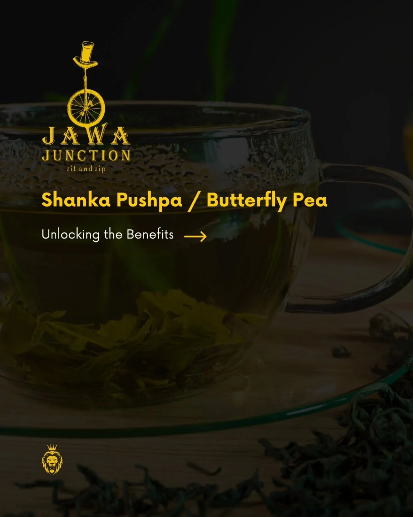 WIN247