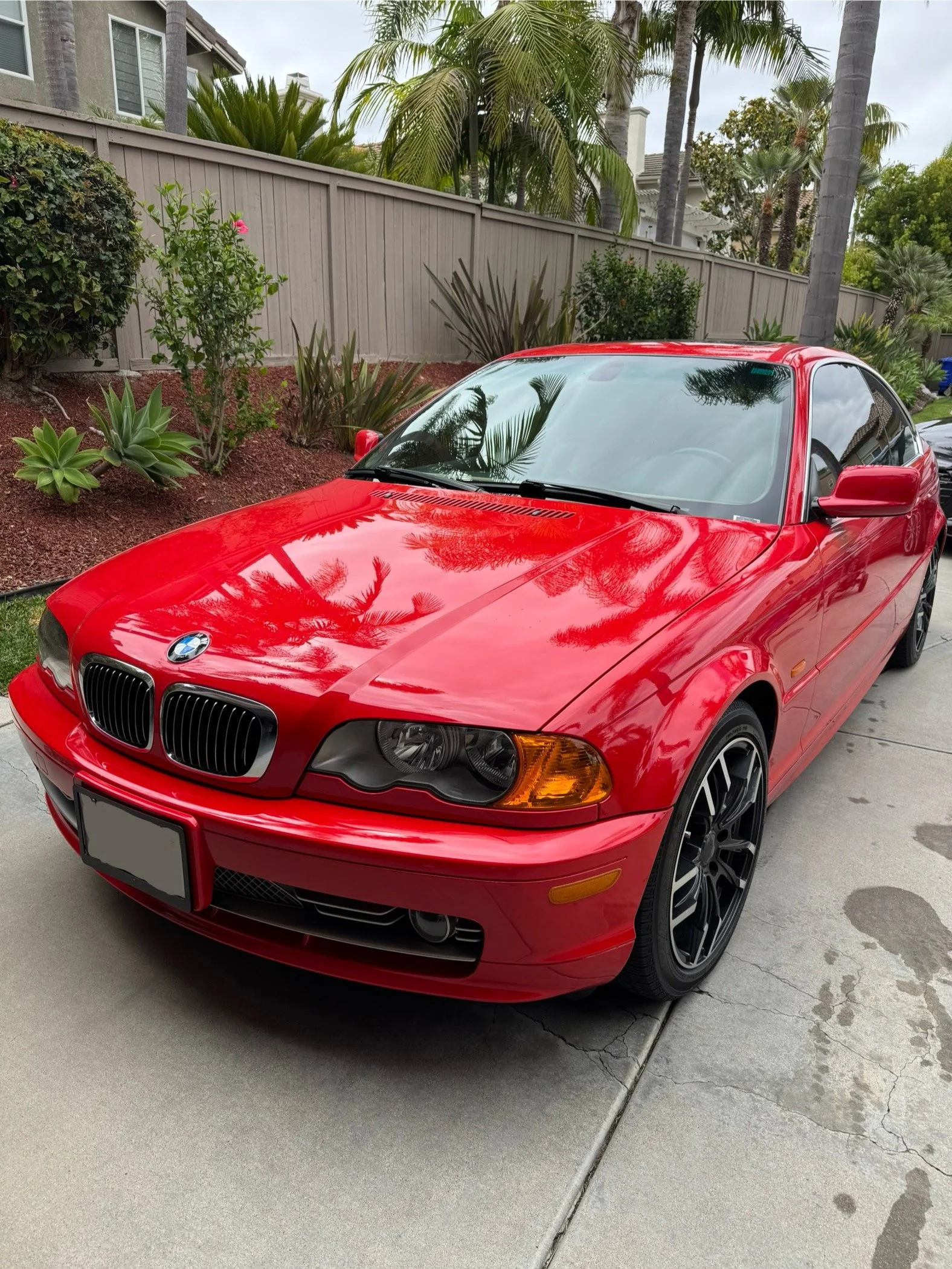 Ceramic coated vehicle finish
