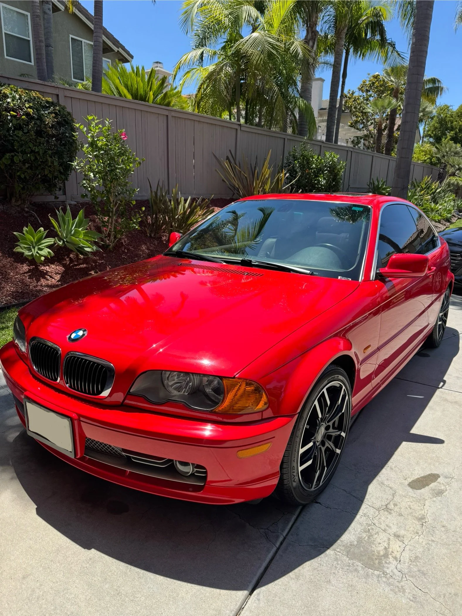Close-up ceramic coating gloss and paint reflection
