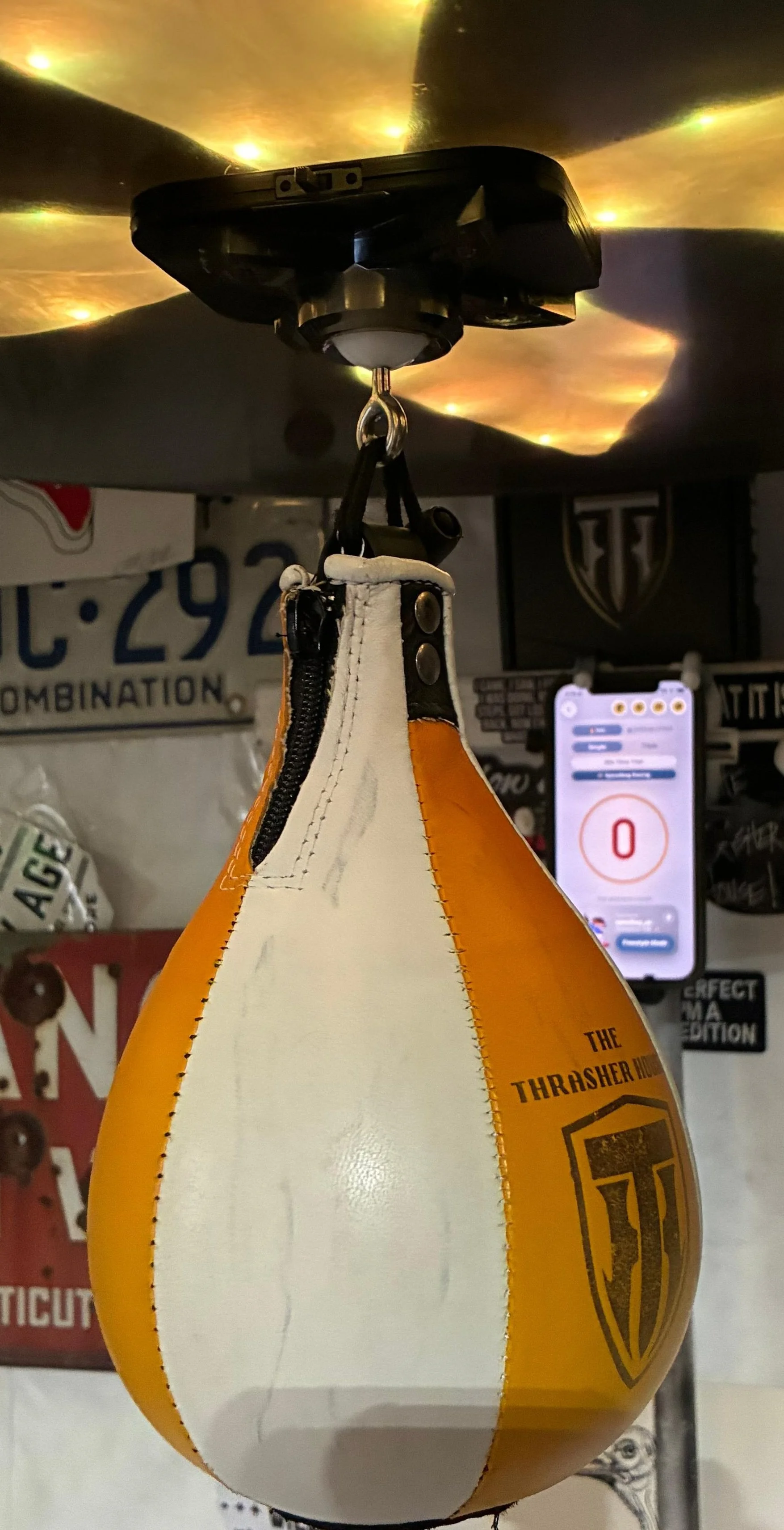 Speed Bag Champ — smart connected speed bag platform