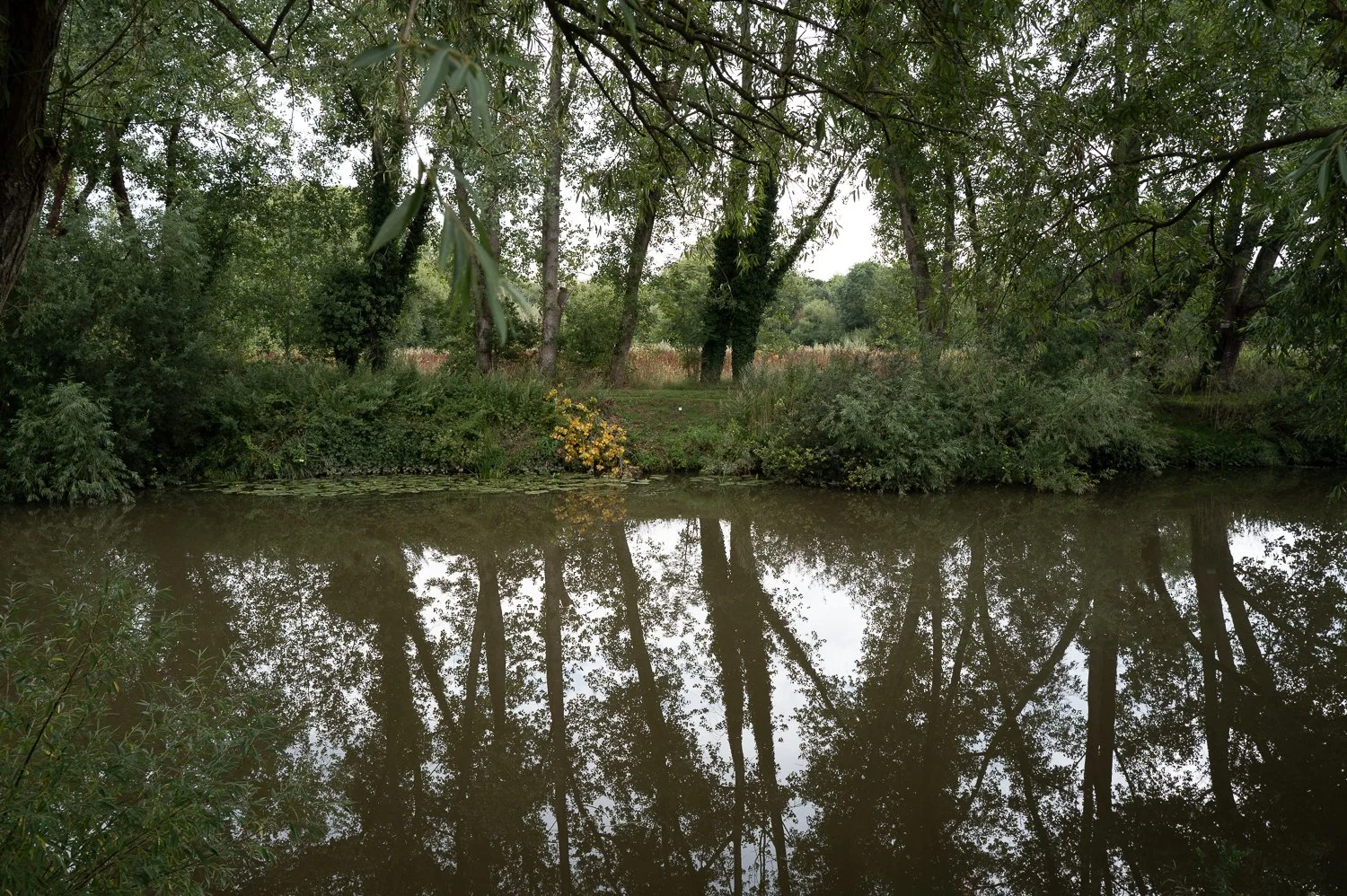 River Medway legal stream