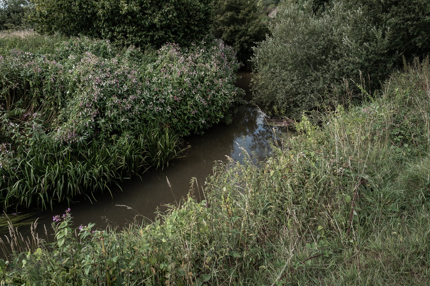 Community gathering by the River Medway