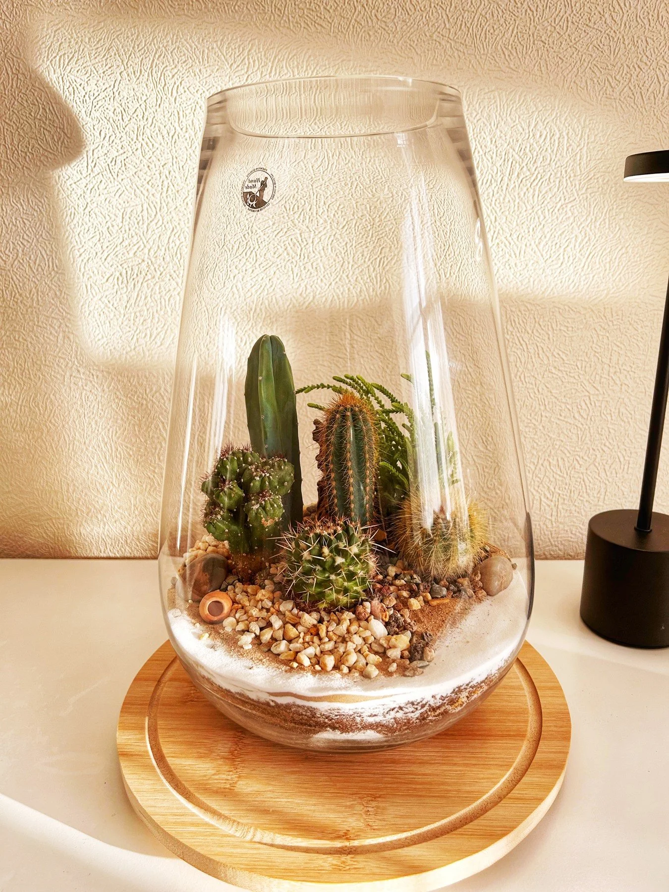 Cacti and succulents in a tall clear glass terrarium on a round wooden base
