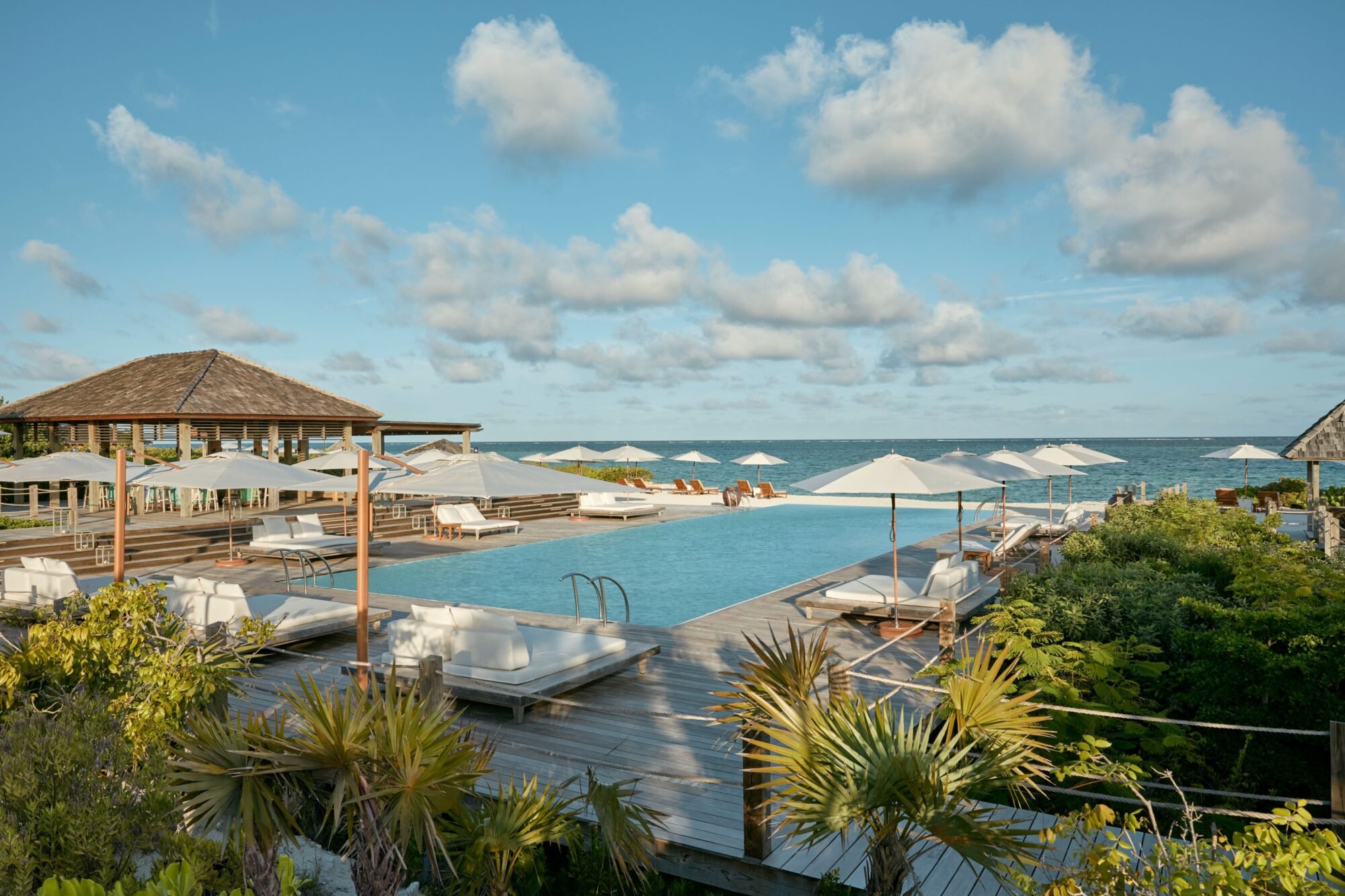 Parrot Cay Turks and Caicos