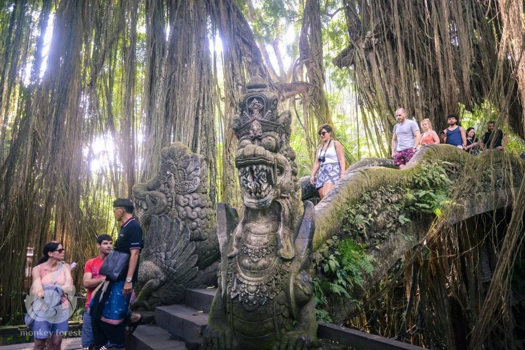 Sacred Monkey Forest Sanctuary Ubud Bali