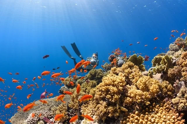 Great Barrier Reef Australia