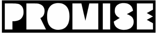 Promise