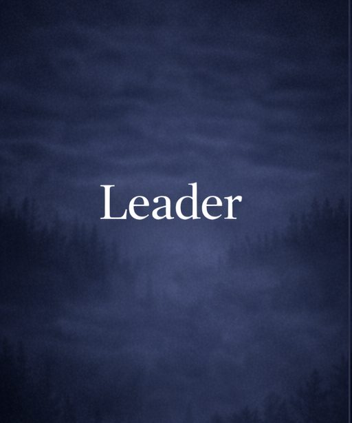 Leader path image