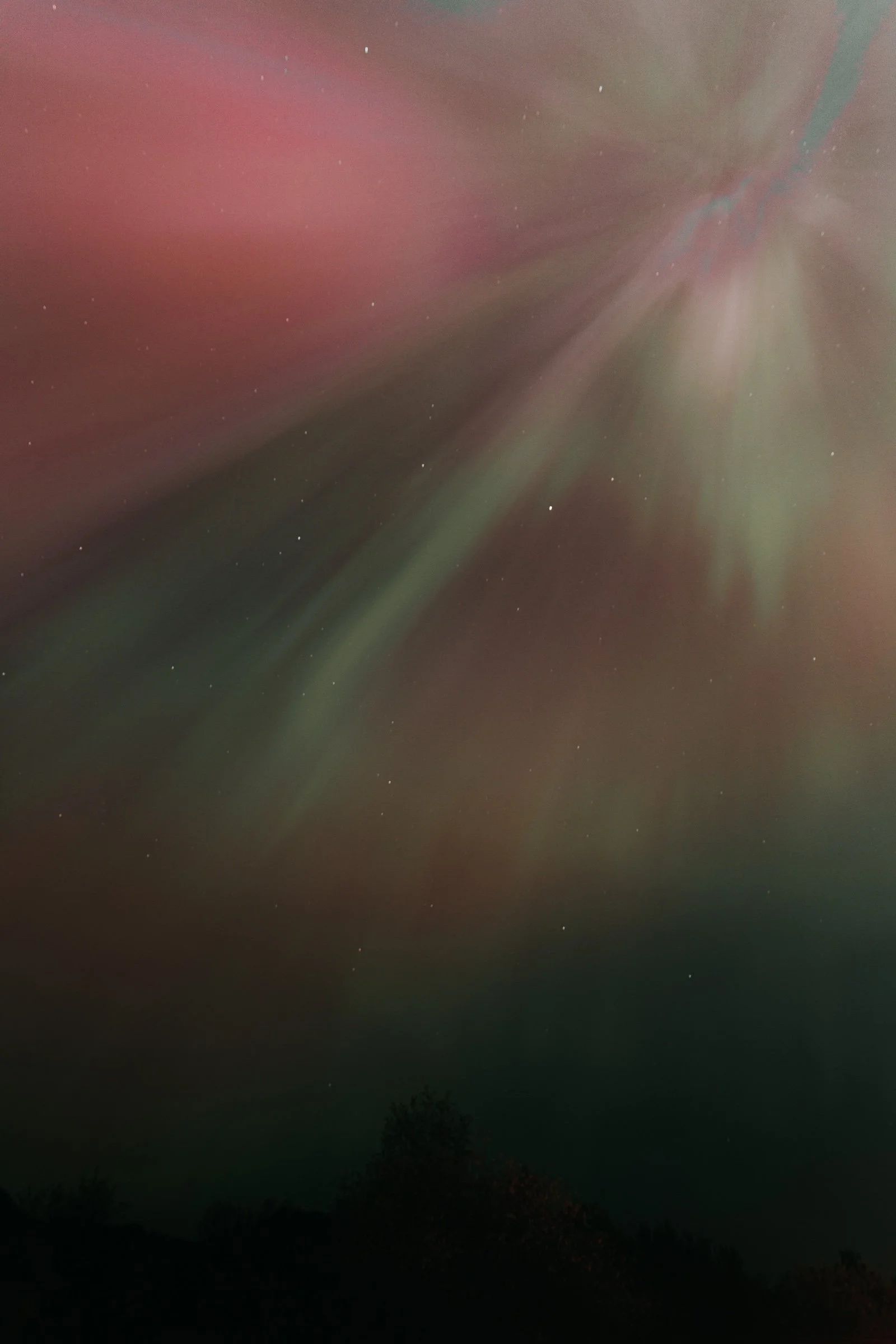 Northern lights over Pitt Lake on one of our nights out with cameras
