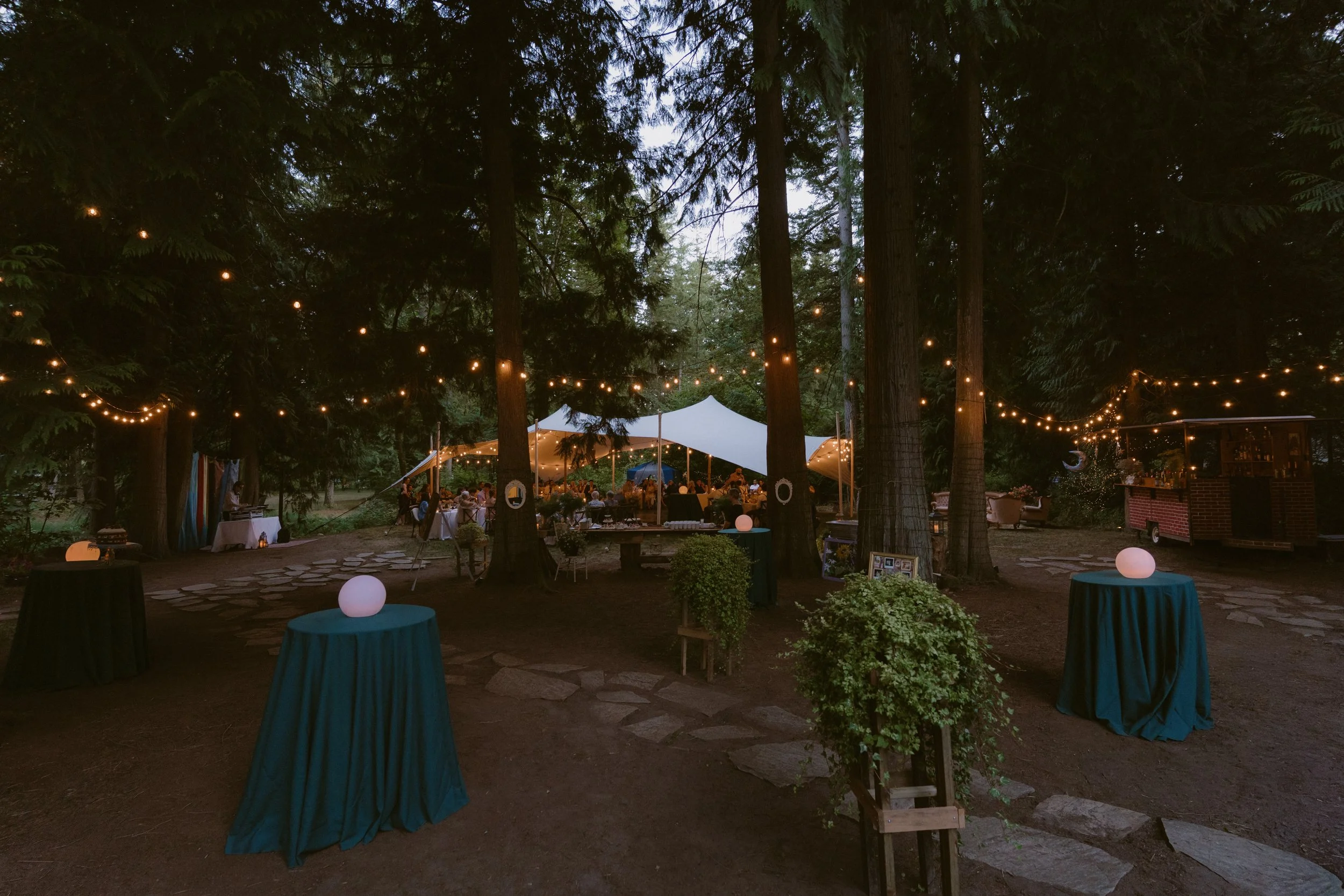 Evening wedding reception beneath string lights in a forest venue in Langley