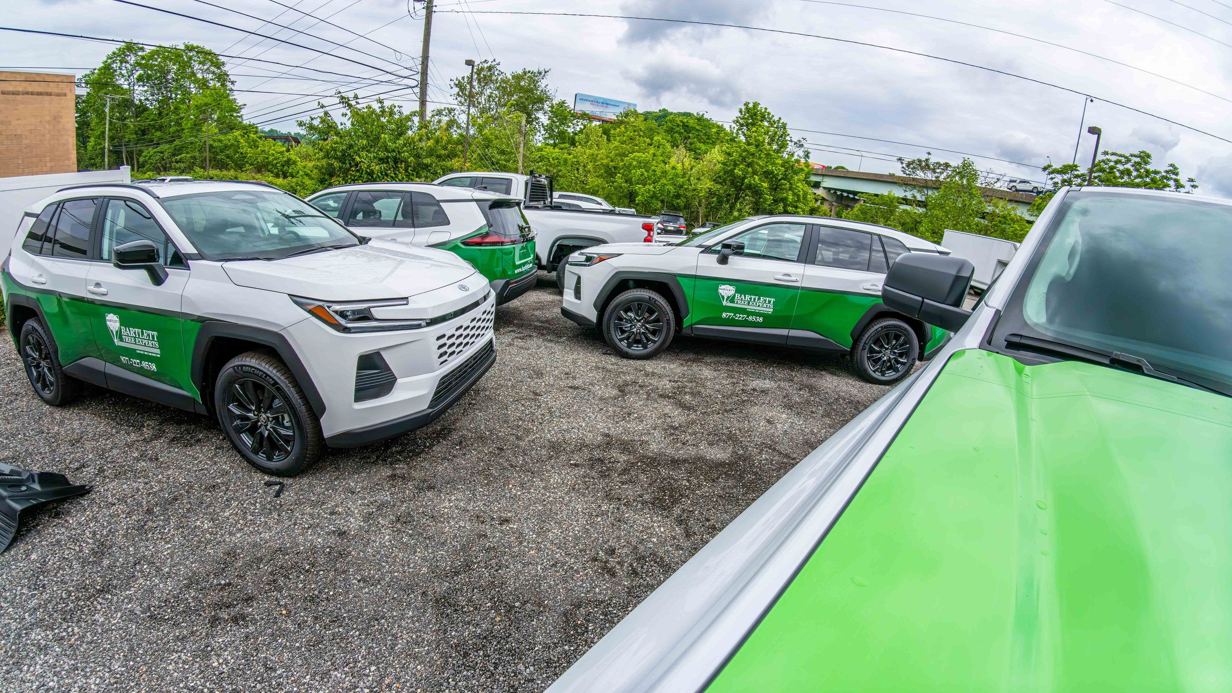 Business logo vinyl graphics on 2026 Toyota RAV4 fleet SUVs by Xtreme Car and Truck Accessories near Pittsburgh PA