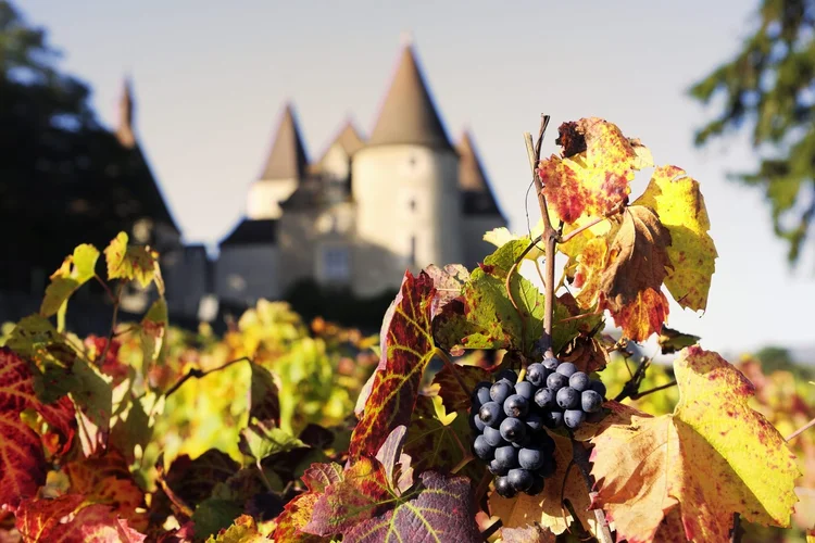 Circuit vin et gastronomie en hiver, Bourgogne et Beaujolais — photo 5/5