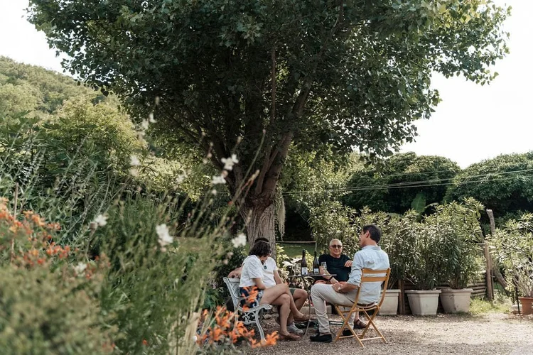 Circuit vin et gastronomie dans le Sud de la Bourgogne — photo 2/5