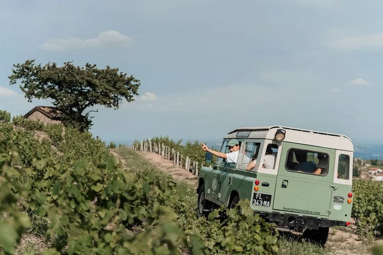 Circuit vin et gastronomie dans le Sud de la Bourgogne — photo 3/5