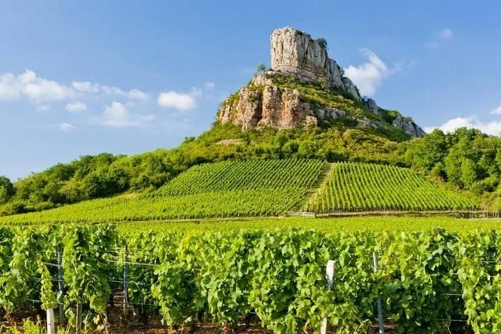 Food and wine tour, Burgundy and Beaujolais — photo 4/5