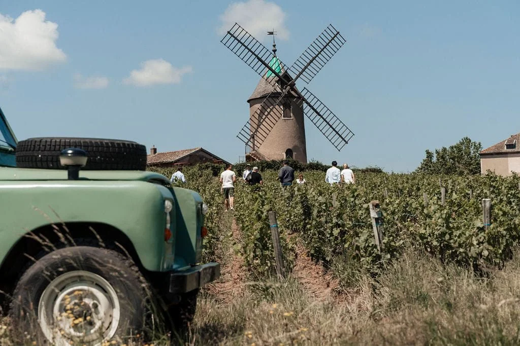 Burgundy wine tour, vineyard visits and wine tasting — photo 1/5