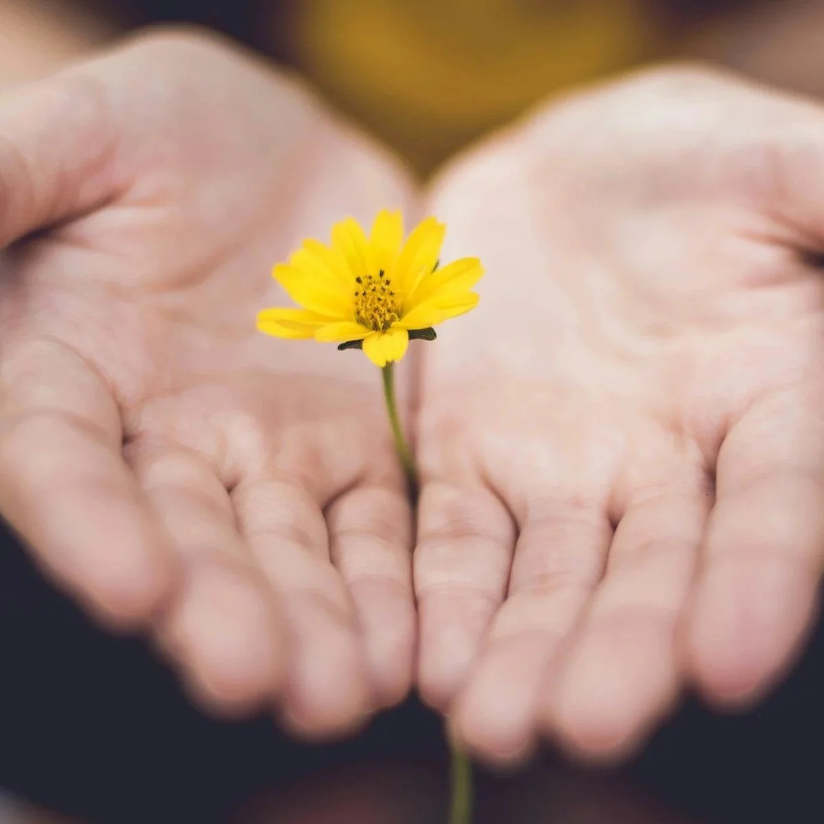 Mediumship Reading
