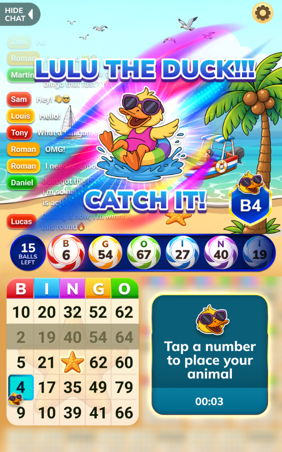 Bingo on the Beach LIVE