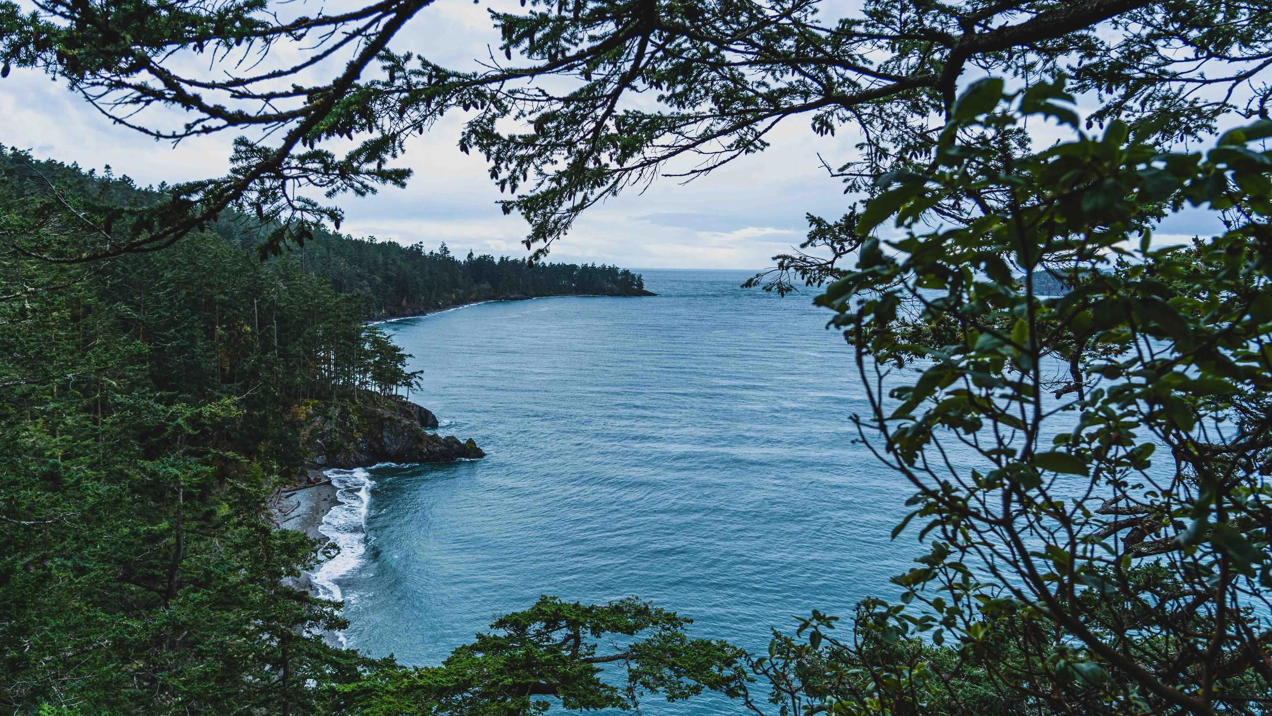 Portrait photographer Seattle - SFMedia