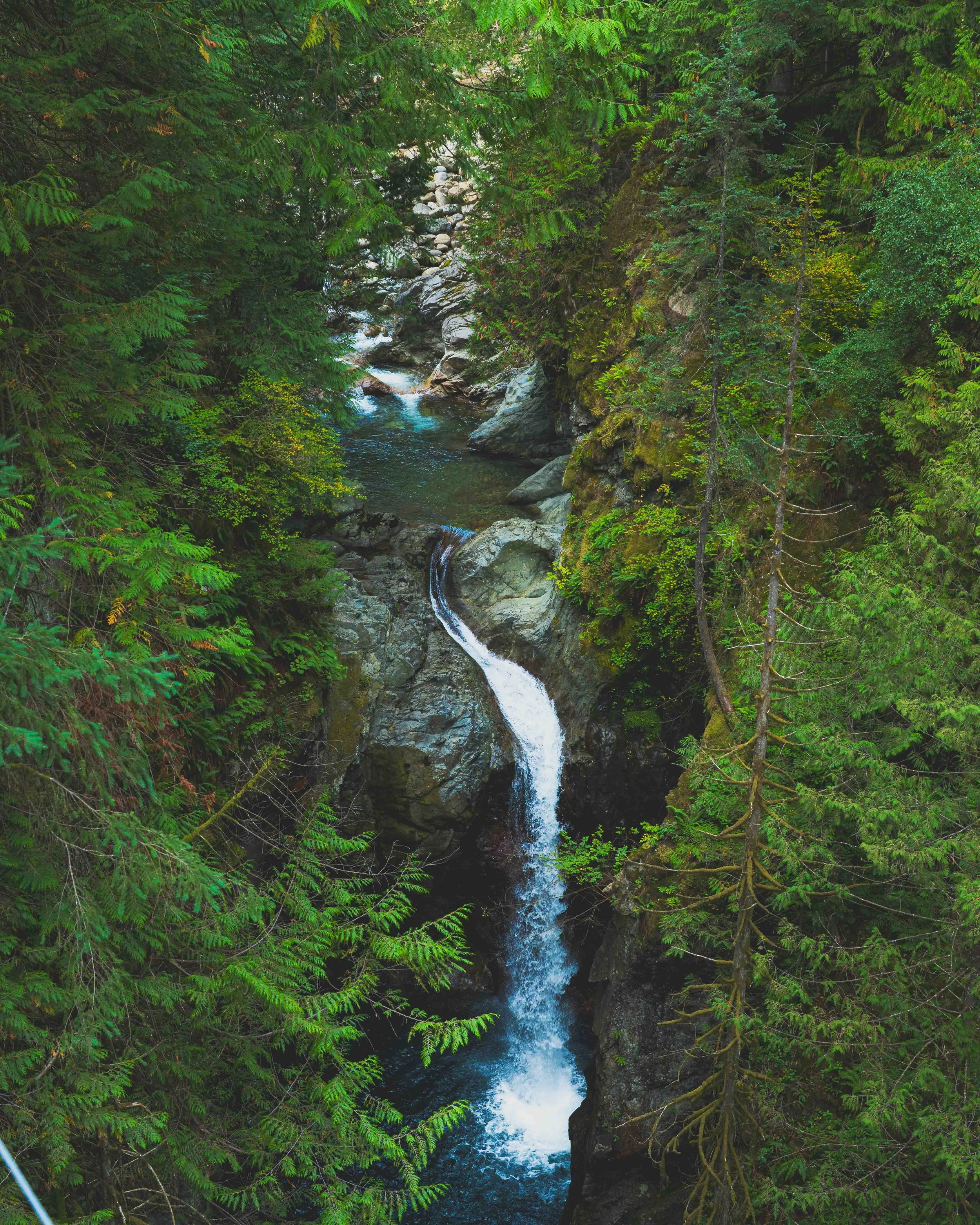 SFMedia - Seattle Photographer and Videographer