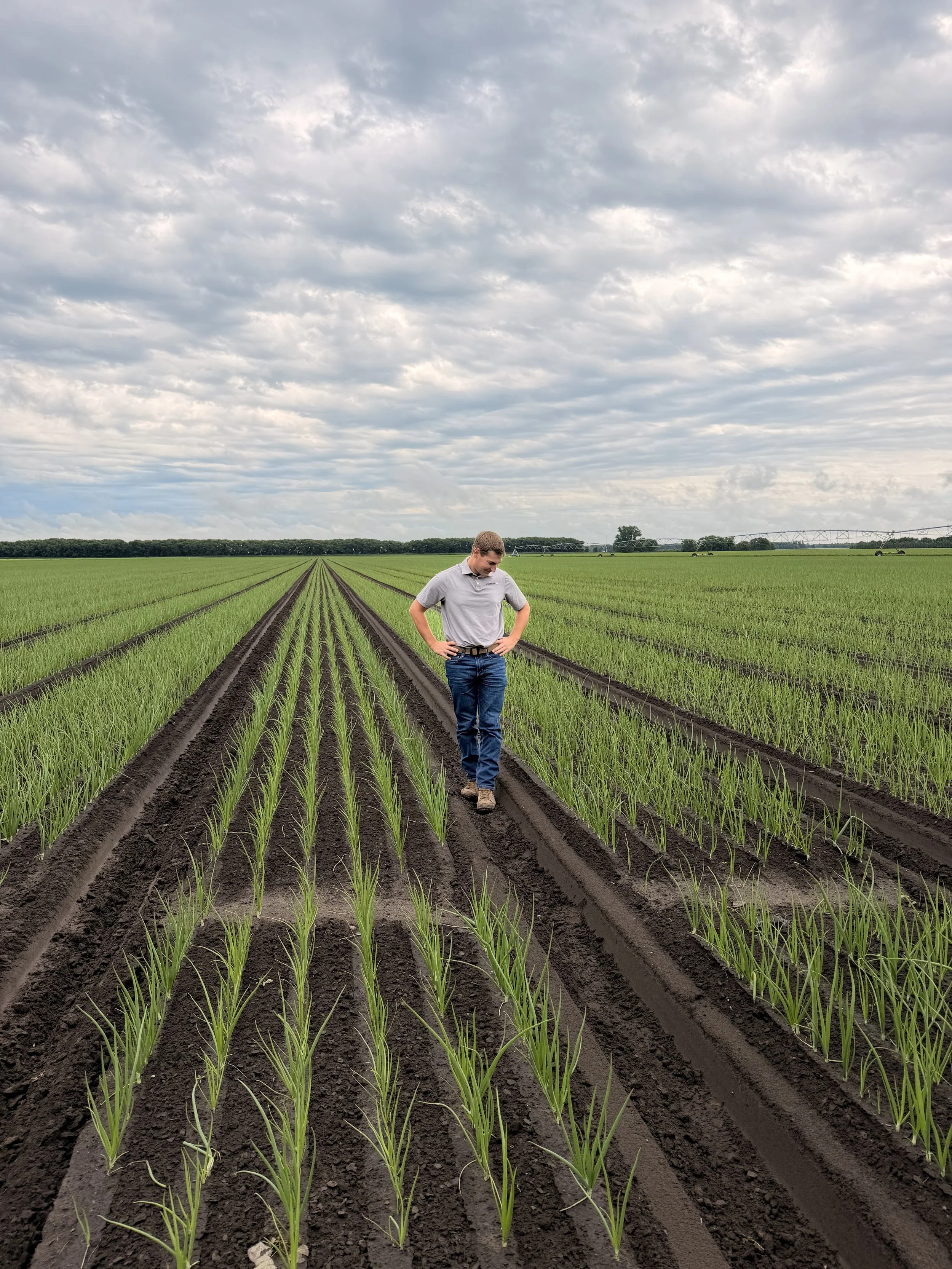 Devin Nohl standing between crop rows on a farm