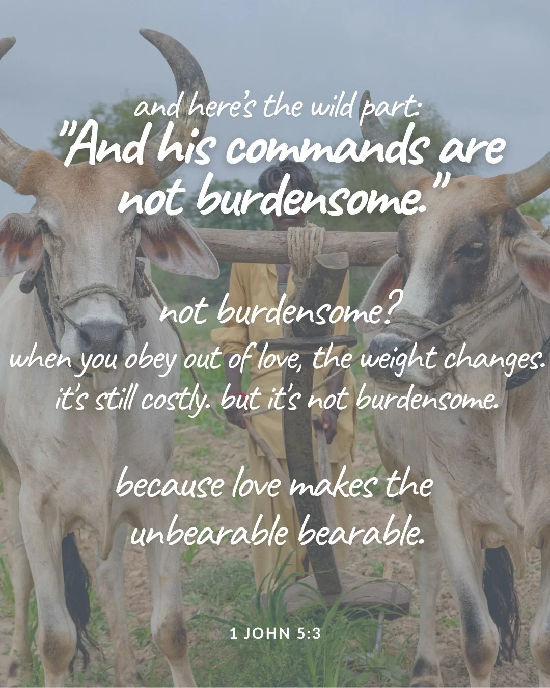 A farmer standing behind two yoked oxen in a field. Text: and here’s the wild part: "And his commands are not burdensome." not burdensome? when you obey out of love, the weight changes. it's still costly. but it's not burdensome. because love makes the unbearable bearable. 1 John 5:3