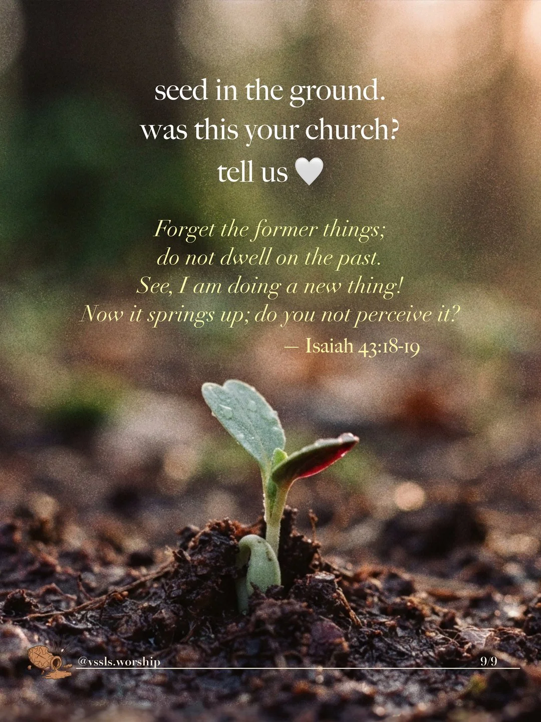 seed in the ground. was this your church? tell us “Forget the former things; do not dwell on the past. See, I am doing a new thing! Now it springs up; do you not perceive it?” — Isaiah 43:18–19