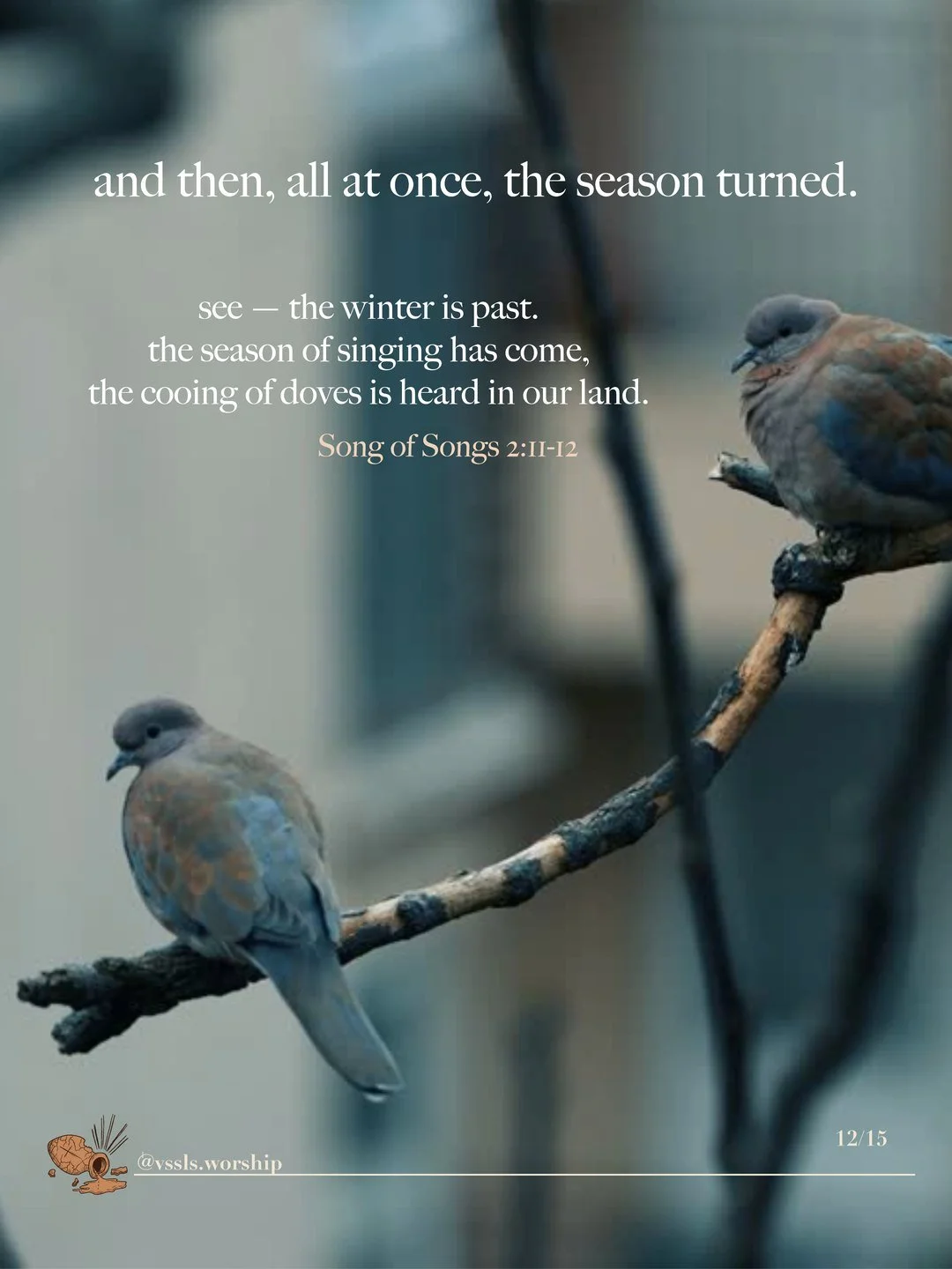 Two doves on a bare branch. Text: and then, all at once, the season turned. see — the winter is past. the season of singing has come, the cooing of doves is heard in our land. — Song of Songs 2:11–12