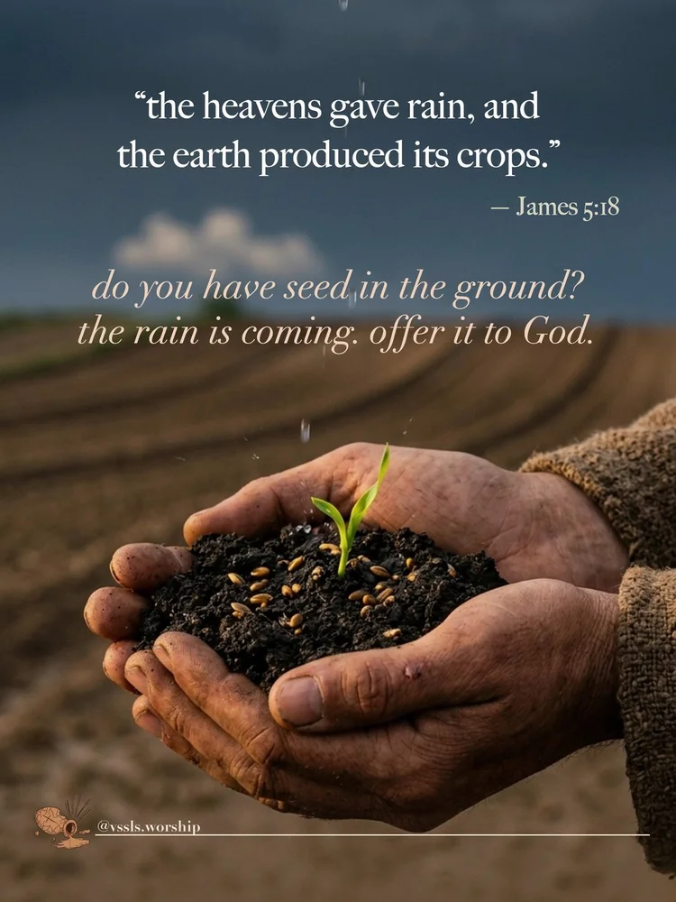 “the heavens gave rain, and the earth produced its crops.” — James 5:18 do you have seed in the ground? the rain is coming. offer it to God.