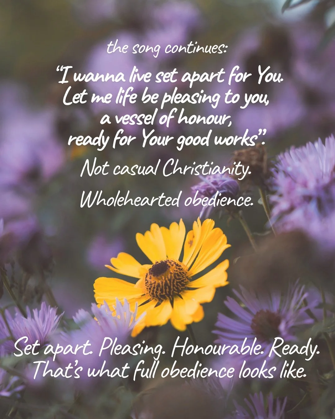 A single yellow flower among purple daisies. Text: the song continues: “I wanna live set apart for You. Let me life be pleasing to you, a vessel of honour, ready for Your good works”. Not casual Christianity. Wholehearted obedience. Set apart. Pleasing. Honourable. Ready. That’s what full obedience looks like.