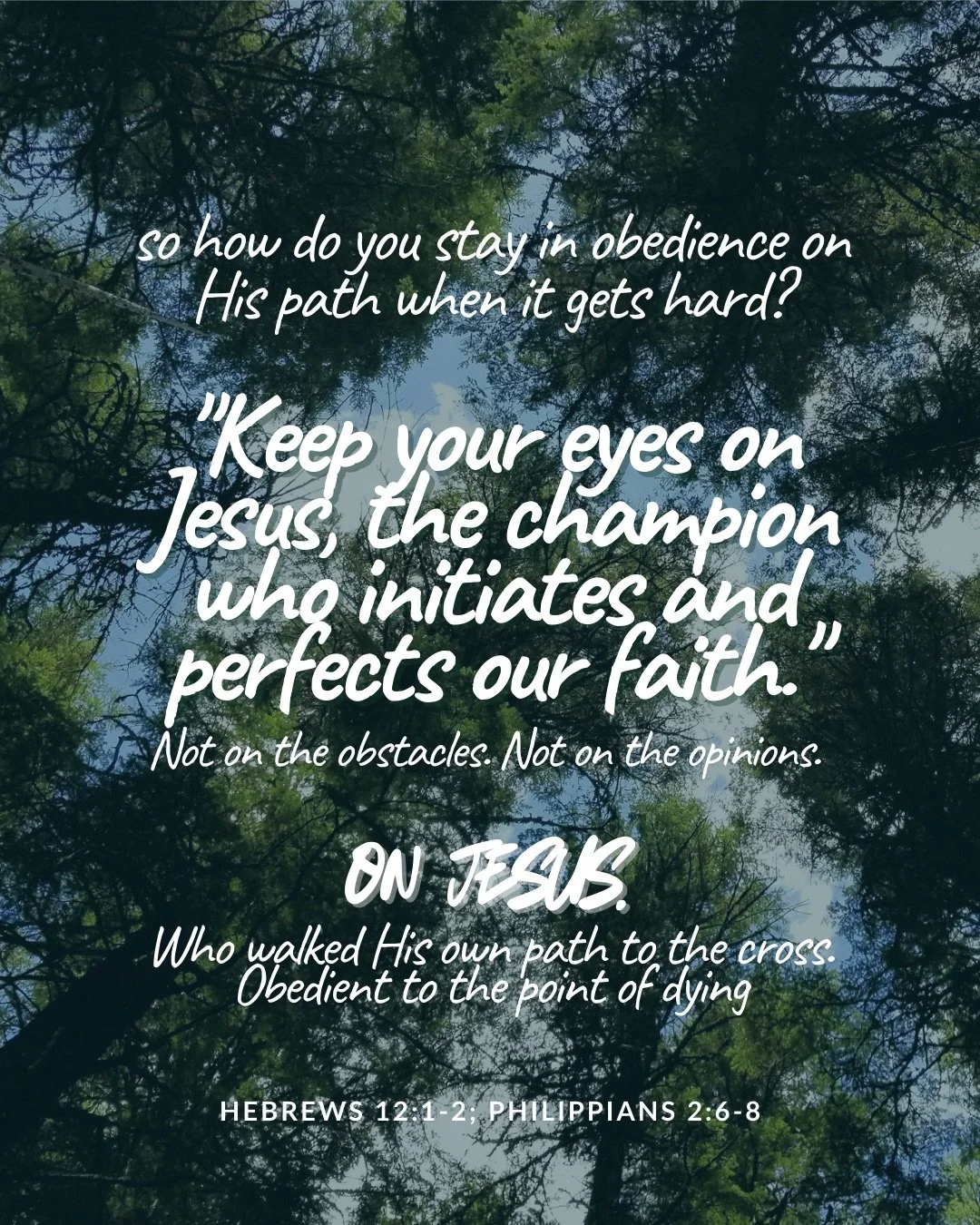Looking straight up through tall pine trees to a blue sky. Text: so how do you stay in obedience on His path when it gets hard? "Keep your eyes on Jesus, the champion who initiates and perfects our faith." Not on the obstacles. Not on the opinions. on Jesus. Who walked His own path to the cross. Obedient to the point of dying Hebrews 12:1–2; Philippians 2:6–8