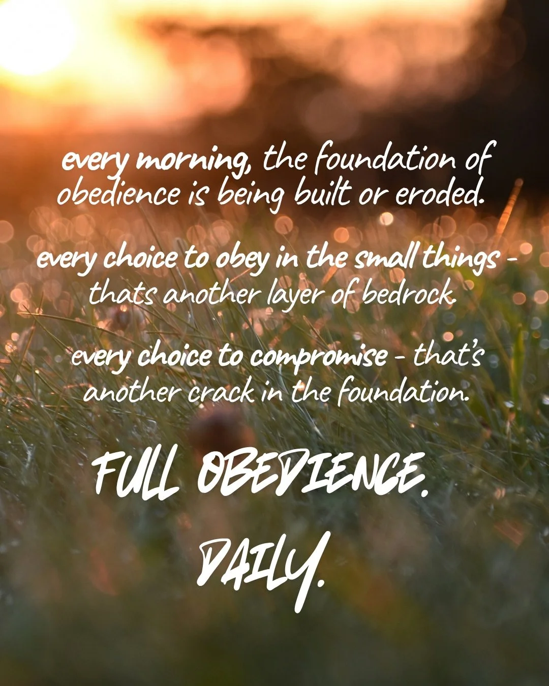 Dewy grass glowing in soft golden light at sunrise. Text: every morning, the foundation of obedience is being built or eroded. every choice to obey in the small things - thats another layer of bedrock. every choice to compromise - that’s another crack in the foundation. full obedience. daily.