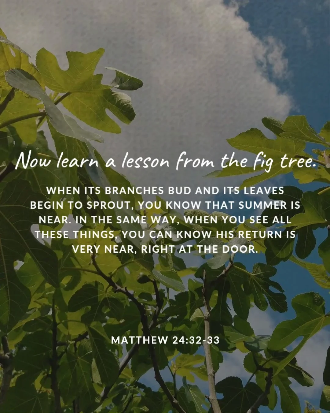 Now learn a lesson from the fig tree. When its branches bud and its leaves begin to sprout, you know that summer is near. In the same way, when you see all these things, you can know his return is very near, right at the door. Matthew 24:32–33