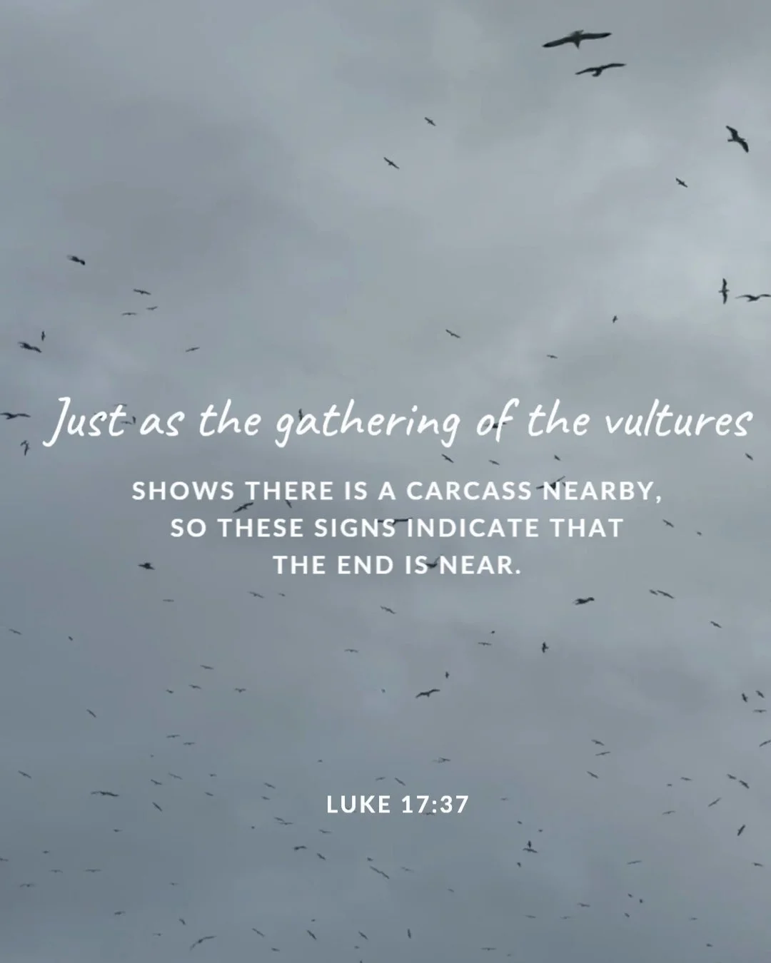 Just as the gathering of the vultures shows there is a carcass nearby, so these signs indicate that the end is near. Luke 17:37