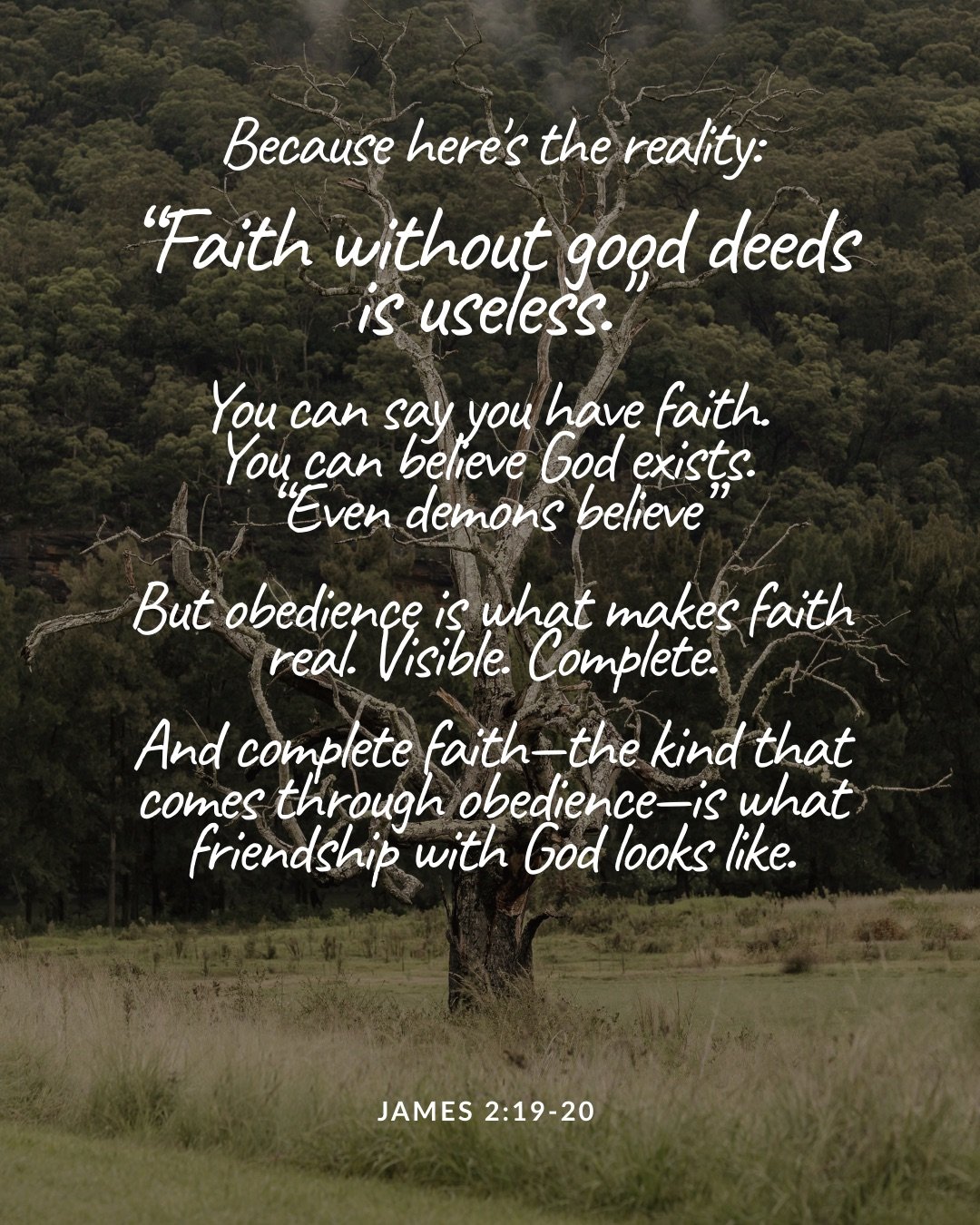 A bare, leafless tree stands in a grassy field in front of a forested hillside. Text: Because here's the reality: “Faith without good deeds is useless." You can say you have faith. You can believe God exists. “Even demons believe” But obedience is what makes faith real. Visible. Complete. And complete faith—the kind that comes through obedience—is what friendship with God looks like. James 2:19–20
