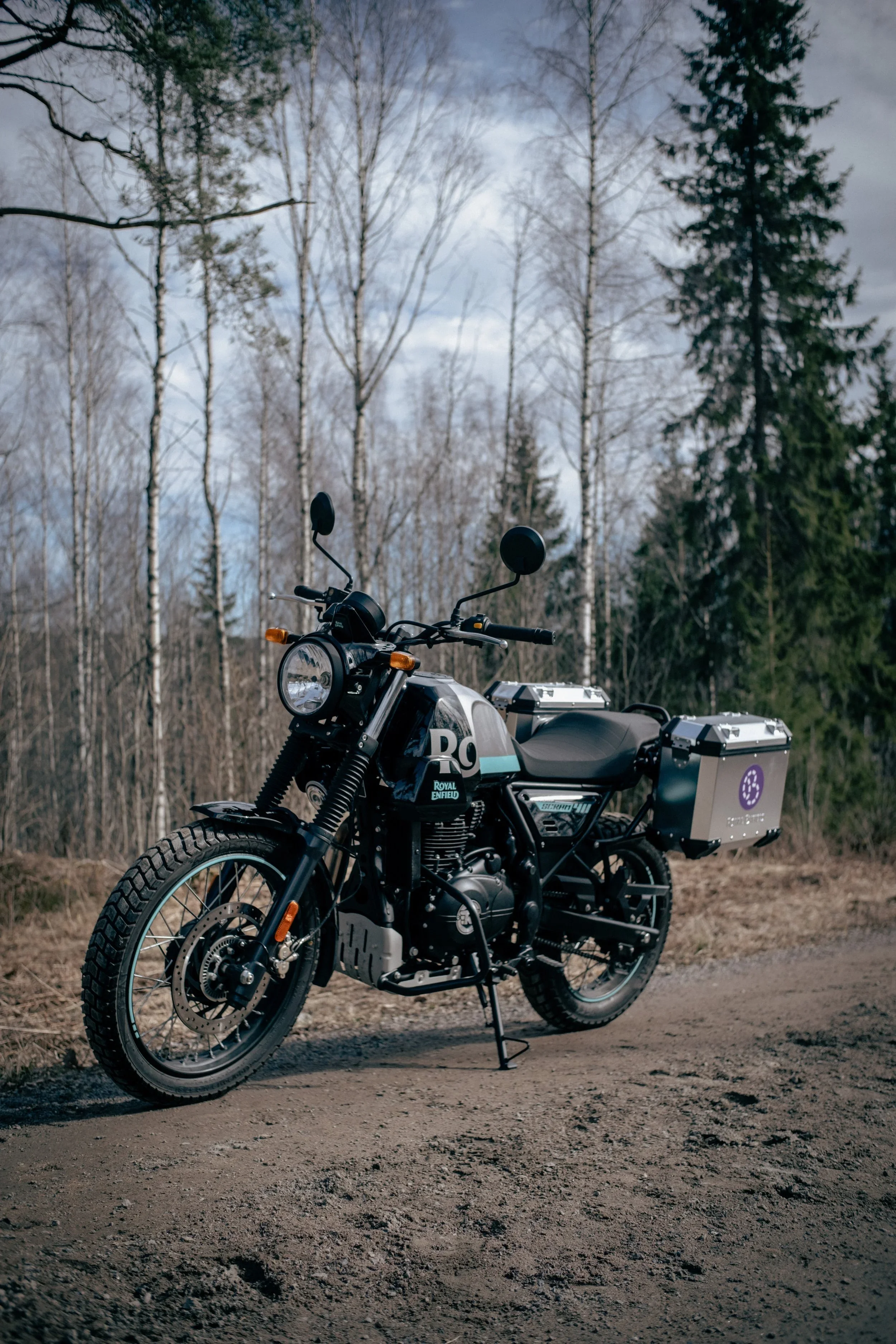 Scrambler 411 in nature